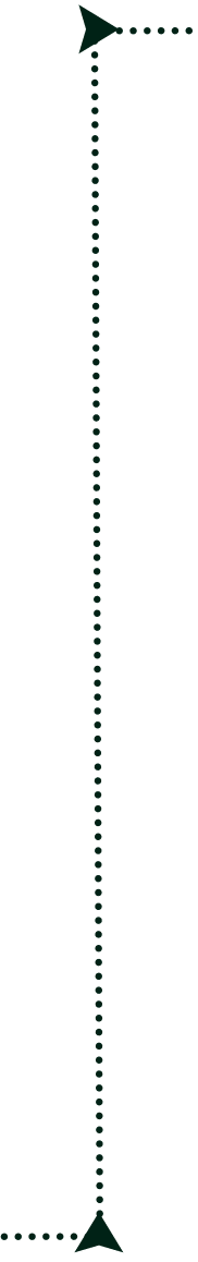 Arrow 