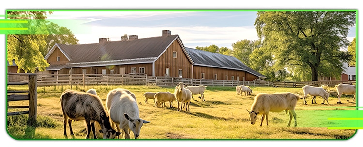 Climate and natural resources in agribusiness and agriculture in Australia.