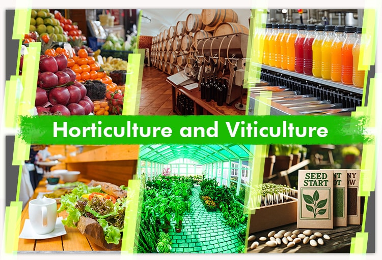 A collage depicting horticulture and viticulture in the agriculture industry in Australia.