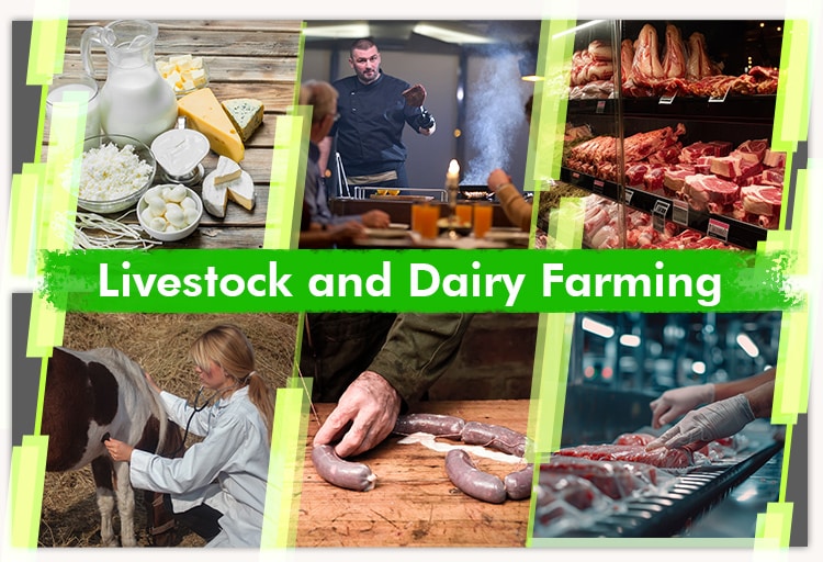 A collage depicting livestock and dairy farming in the agriculture industry in Australia.