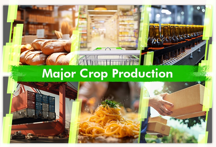 A collage of major crop production in the agriculture industry in Australia.
