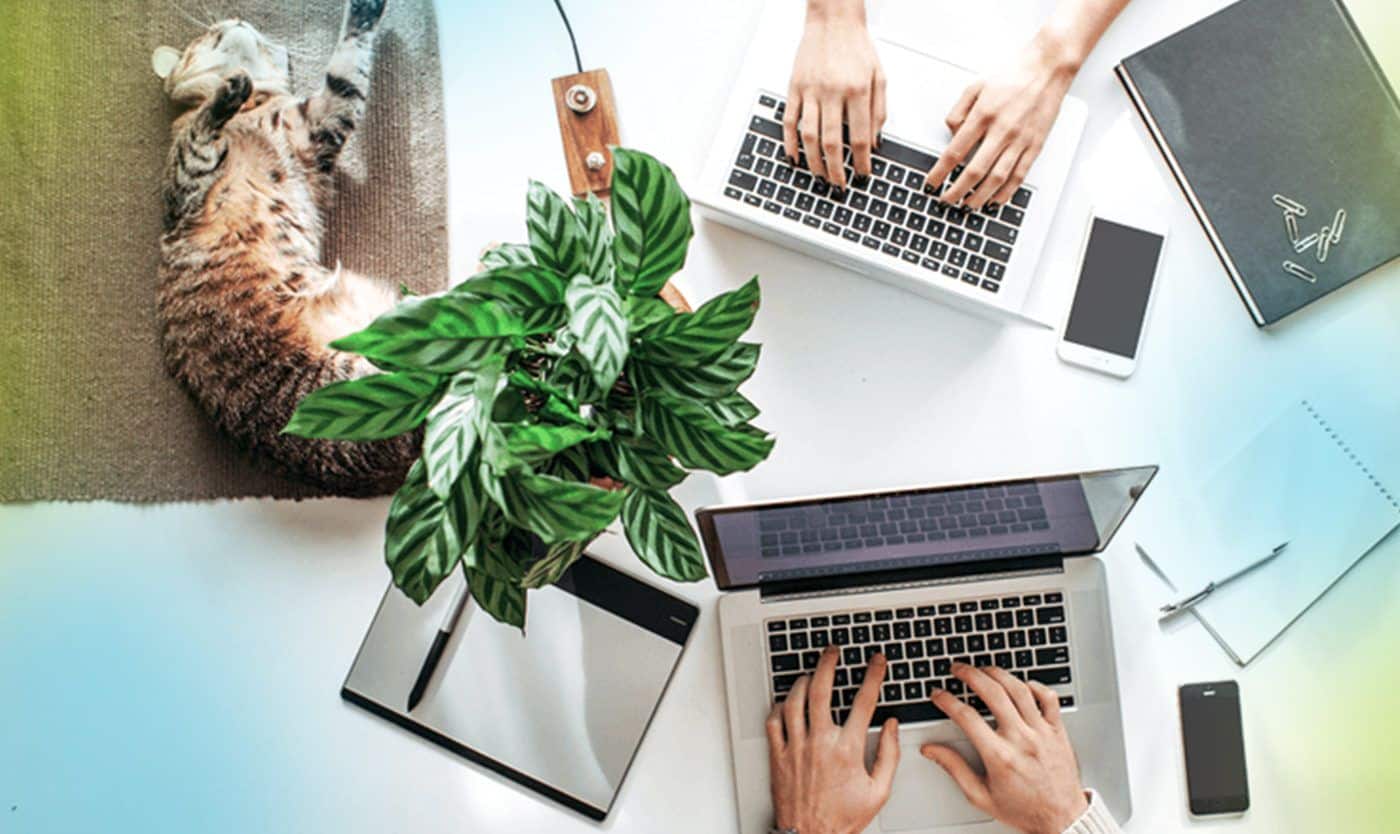 Ways How Remote Staffing Changed the Business Landscape