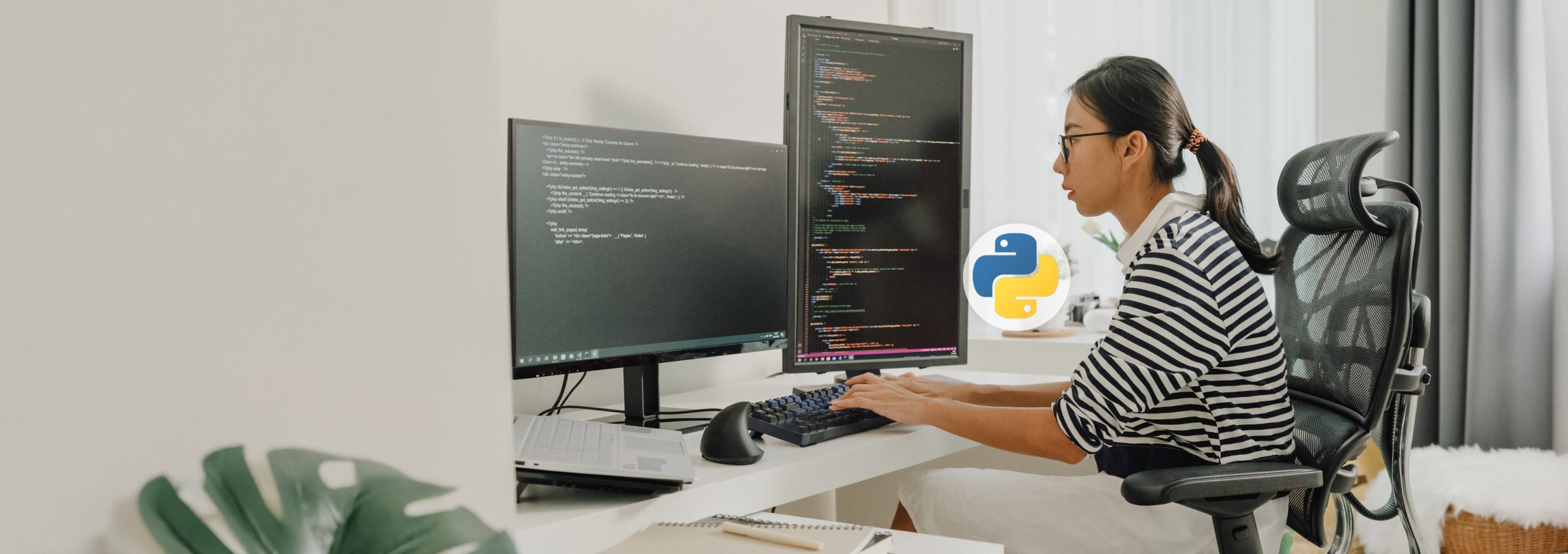 Remote Python Developer