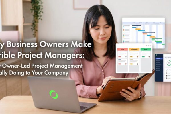 Why Business Owners Make Terrible Project Managers and What Does a Project Manager Do
